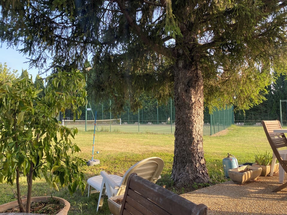 Sport court