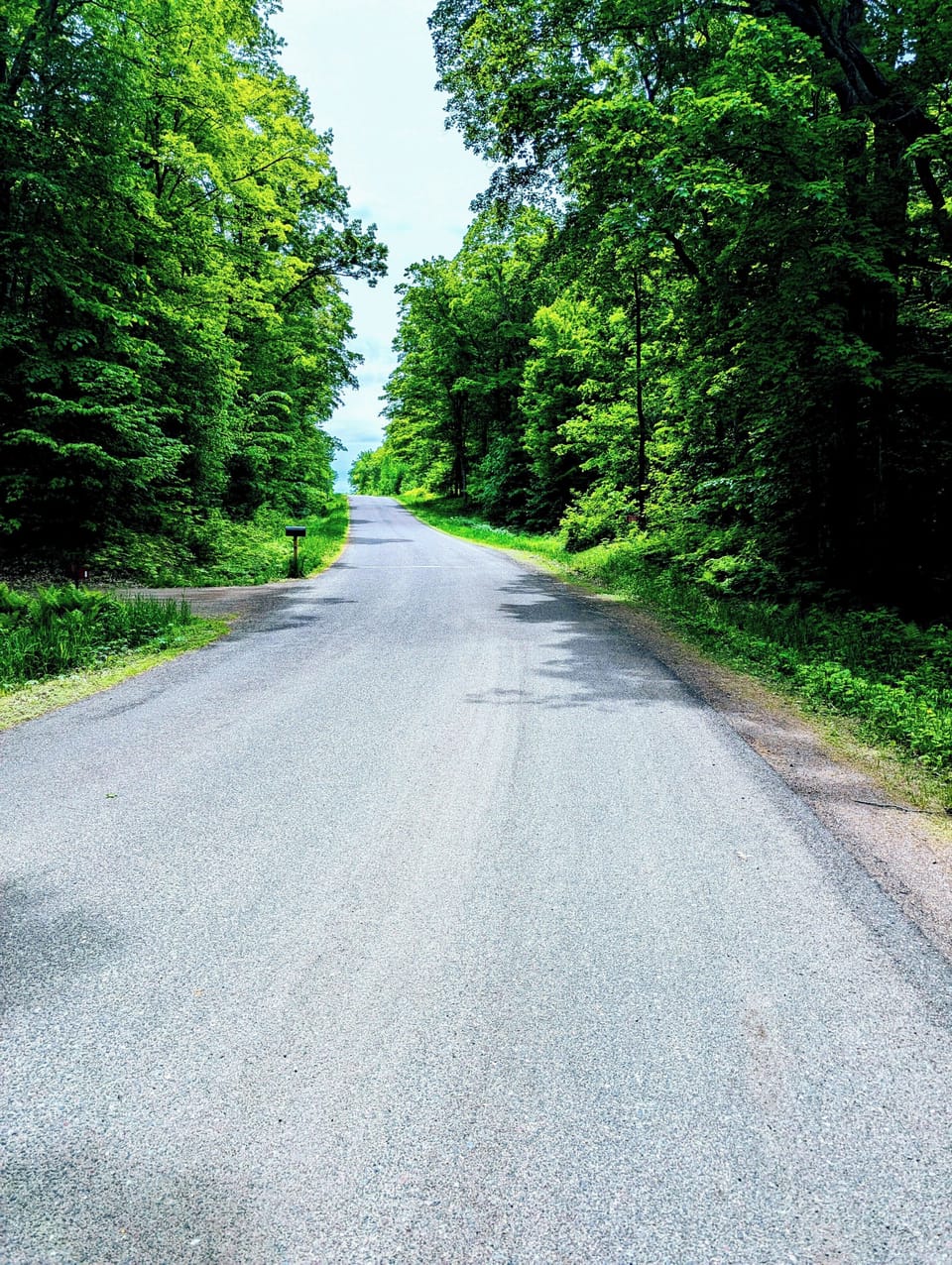 Lush scenery driving to cabin!