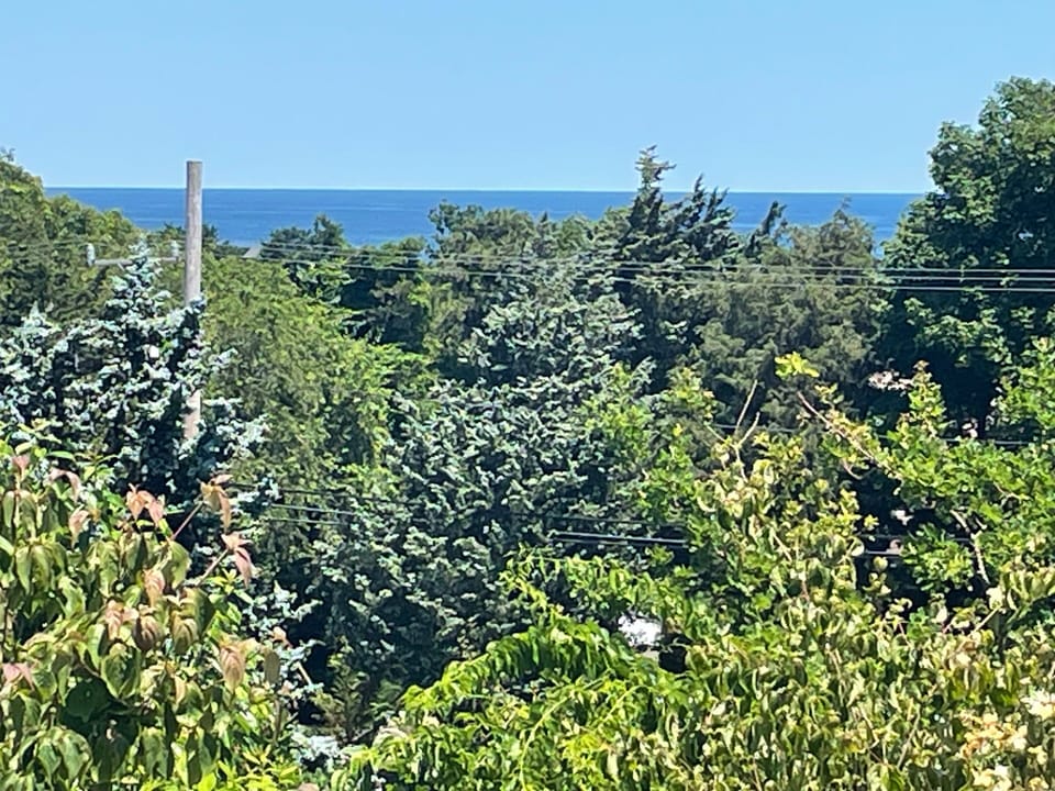 Water views from the top level