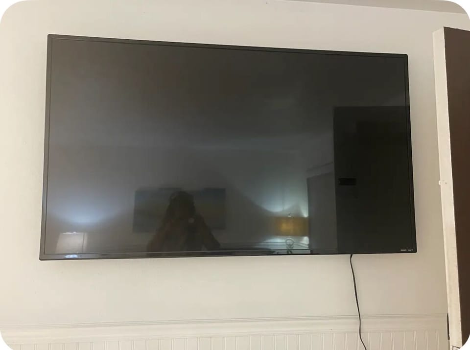 Television
