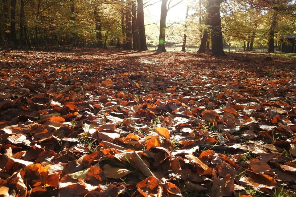 Surroundings [summer] (1-5 km)