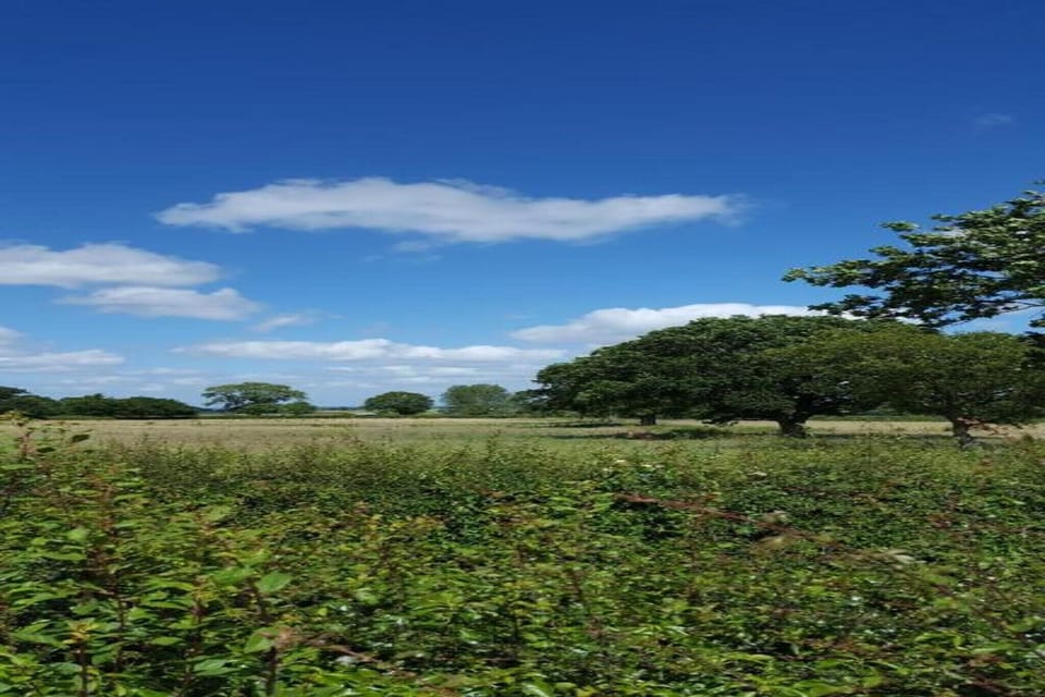 Region [summer] (>5 km)
