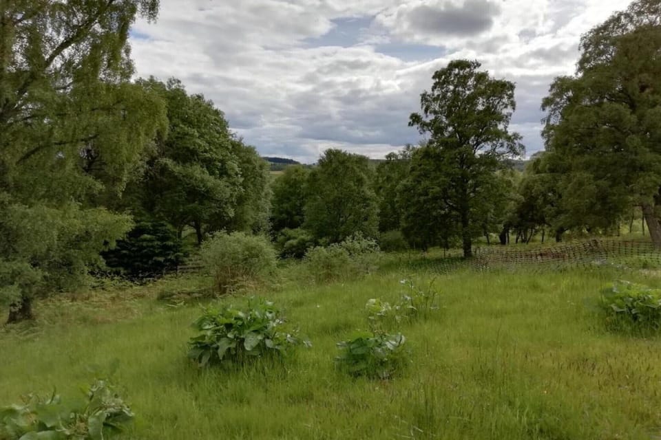 Surroundings [summer] (1-5 km)