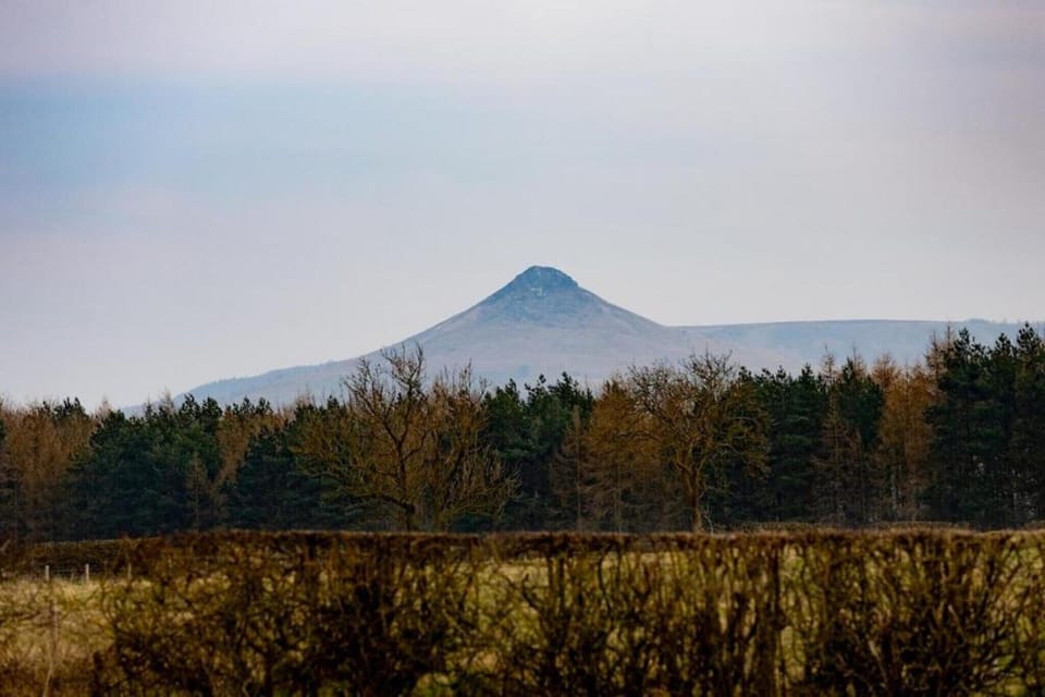 Region [summer] (>5 km)