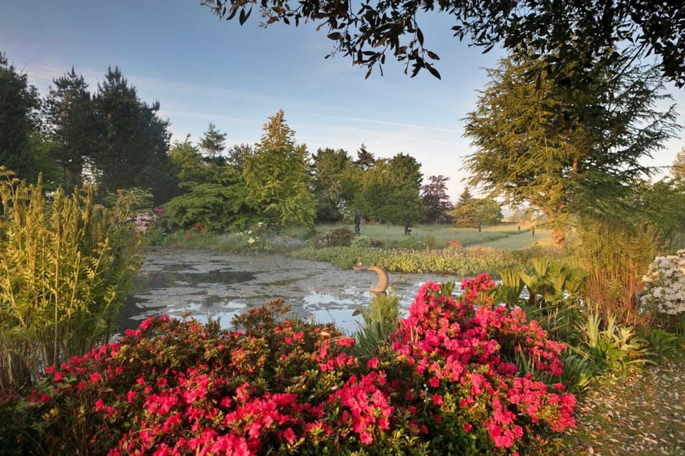 Garden [summer]