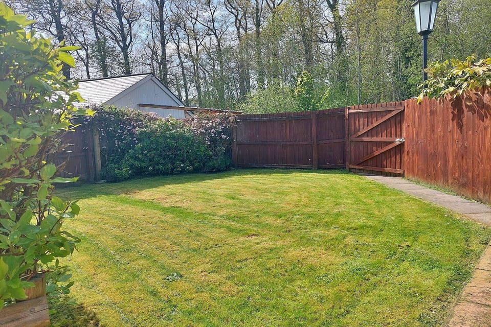 Garden [summer]