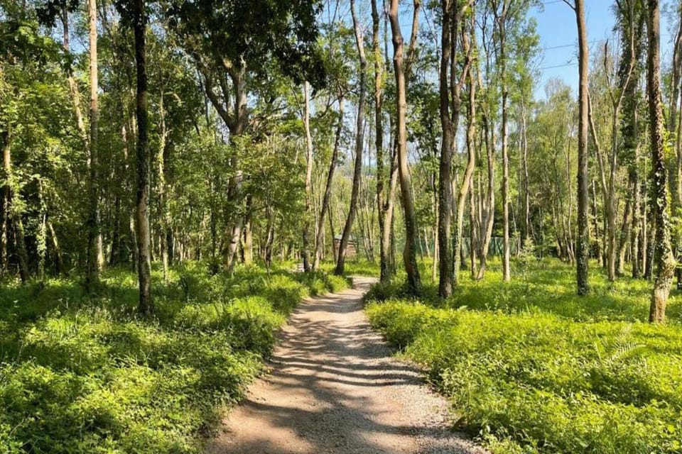 Surroundings [summer] (1-5 km)