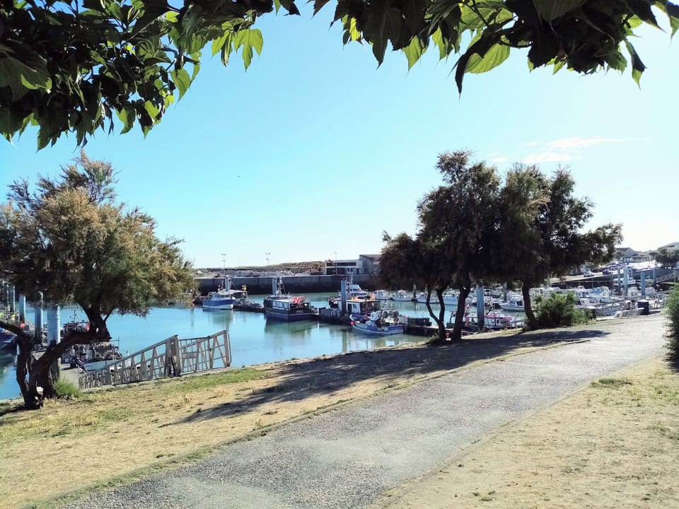 Marina