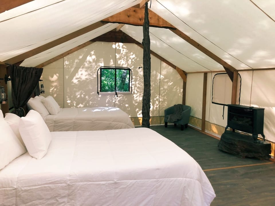 tent54