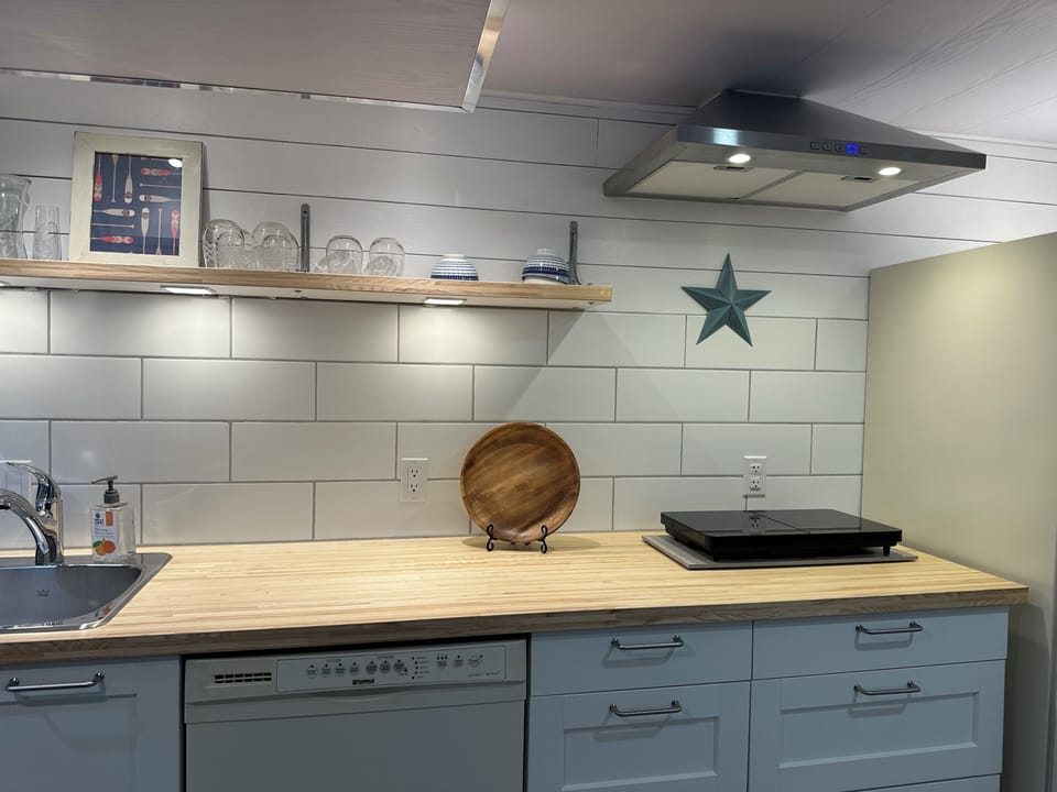 Built in dishwasher, 2 burner induction cooktop & full size fridge