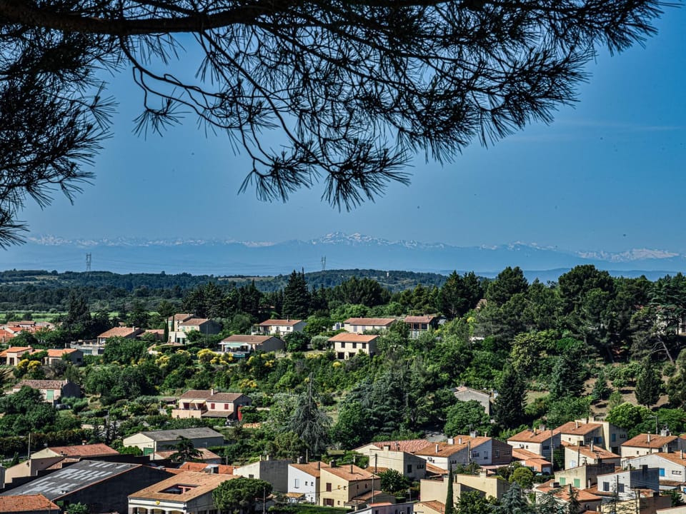 View from Holiday Home [summer]