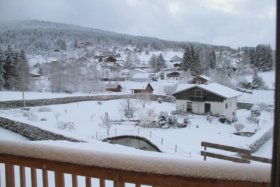 View from property