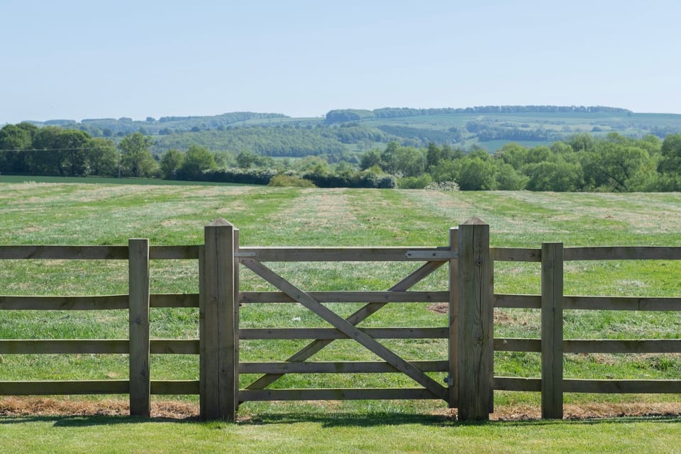 The view from Meadow View