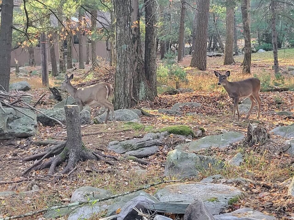 090a7e3d-5270-41aa-ac15-114989cab2b9