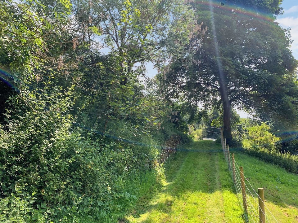 Outdoor | Tyn Y Celyn - Tyn Y Celyn Holidays, Mold