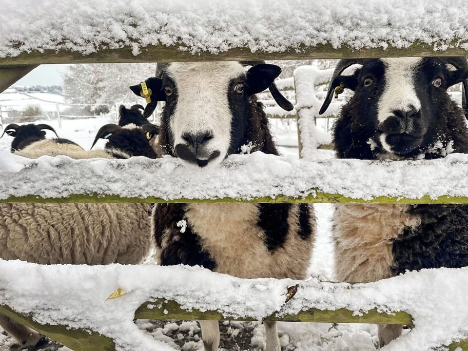 Surrounding area | The Carriage - Lower Delves Farm, Shirland, near Alfreton