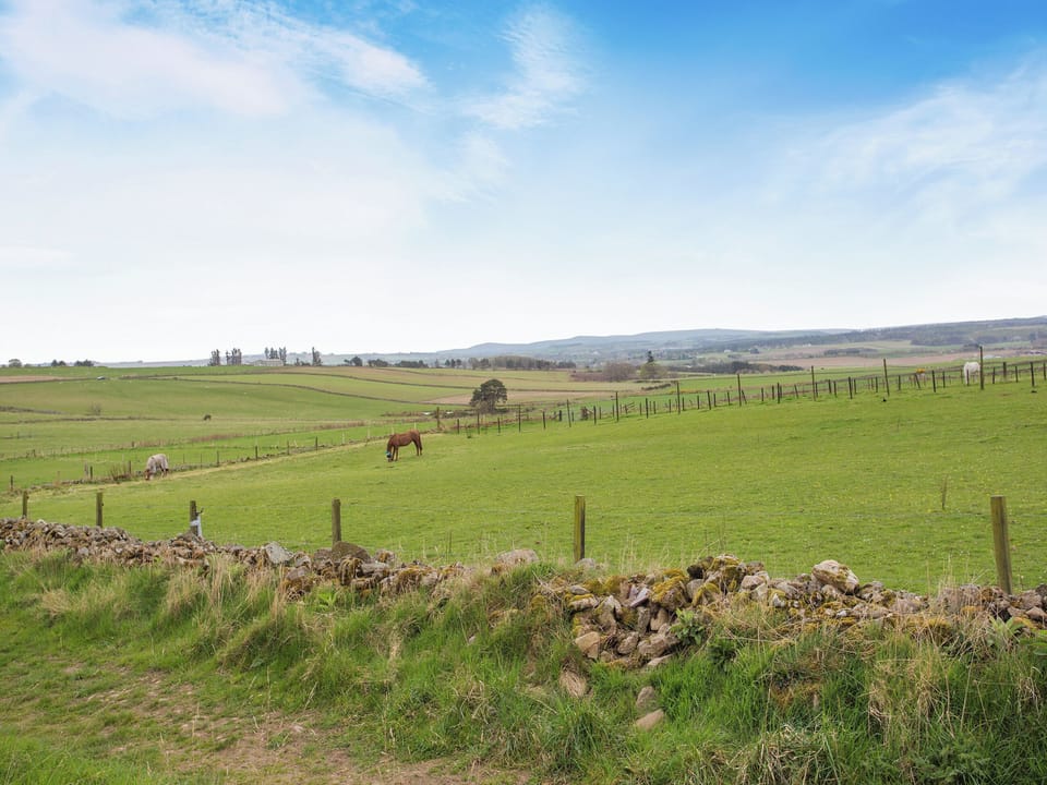 Surrounding area | Hogholm Farmhouse, Inverurie