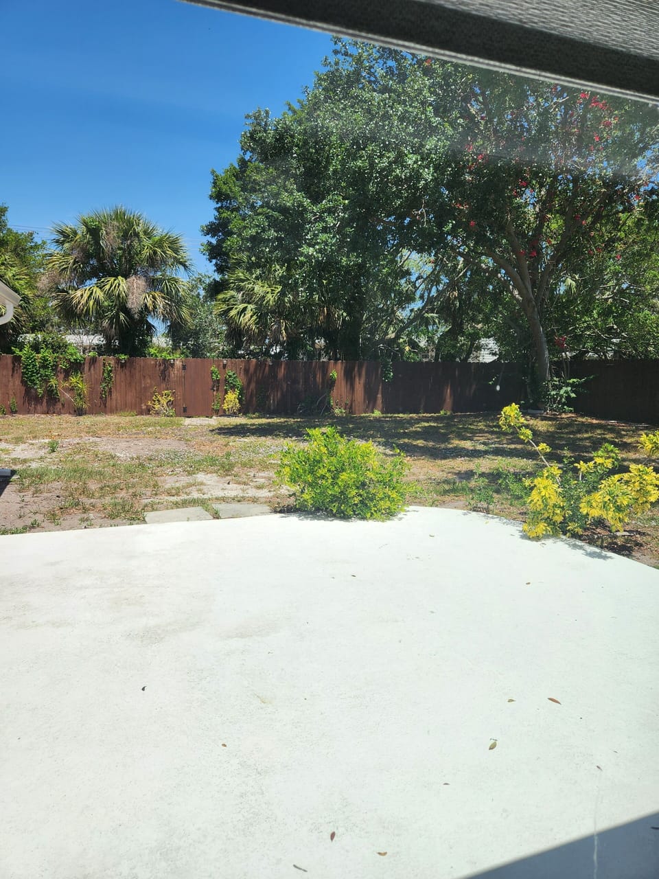 Fenced in back yard