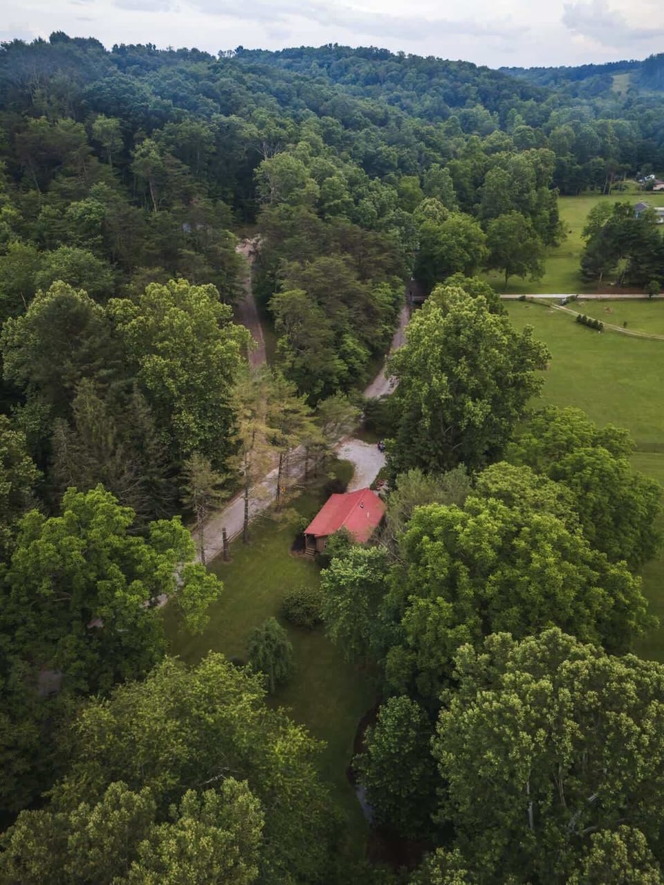 Aerial view of the secluded cabin tucked among rolling green hills & tall trees