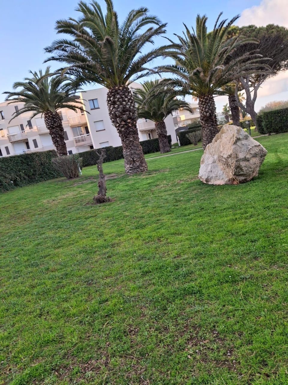 Property grounds