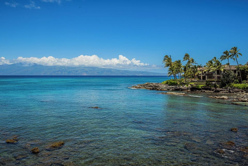 Explore vibrant marine life.