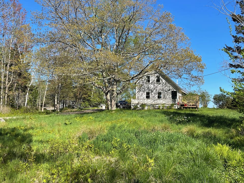 View from road