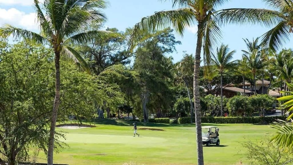 Watch golfers glide across the beautiful  green fairway framed by towering palms and island sunshine.