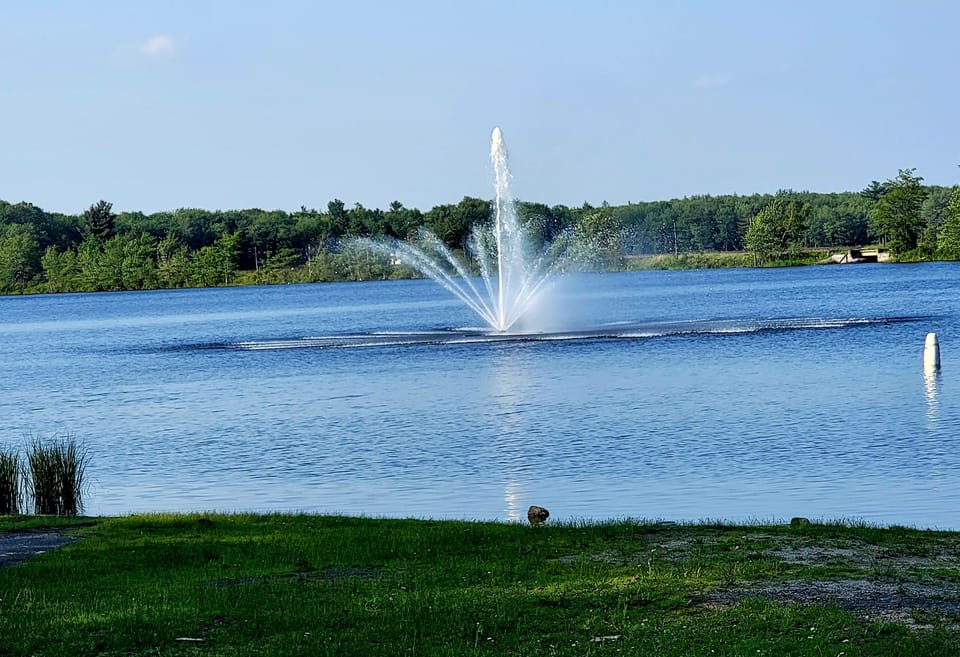 Lake with beach area