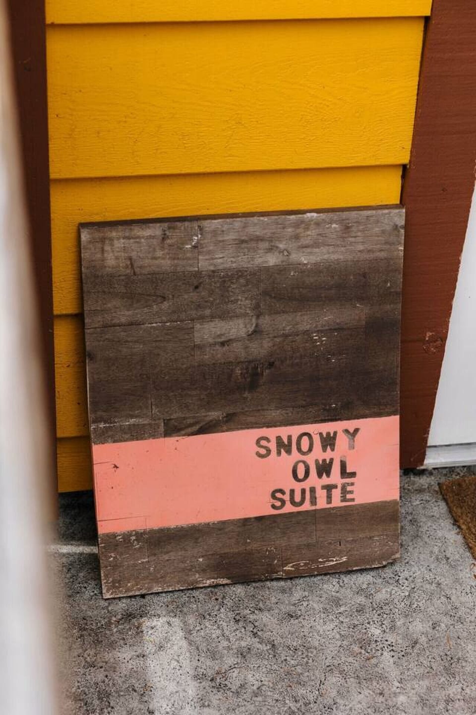 Snowy Owl Suite