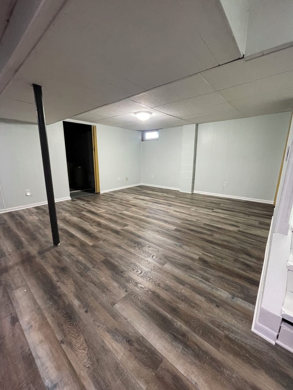 Basement Living Space