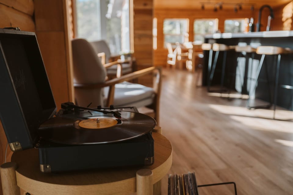 Vinyl player