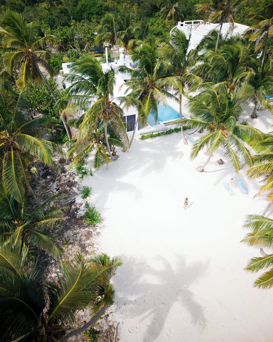 Your own private stretch of Caribbean paradise surrounded by swaying palms