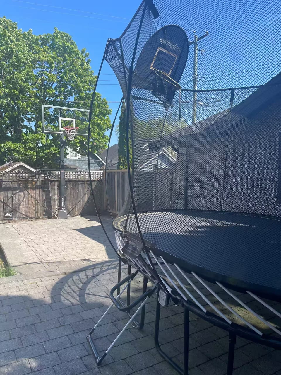 backyard 1