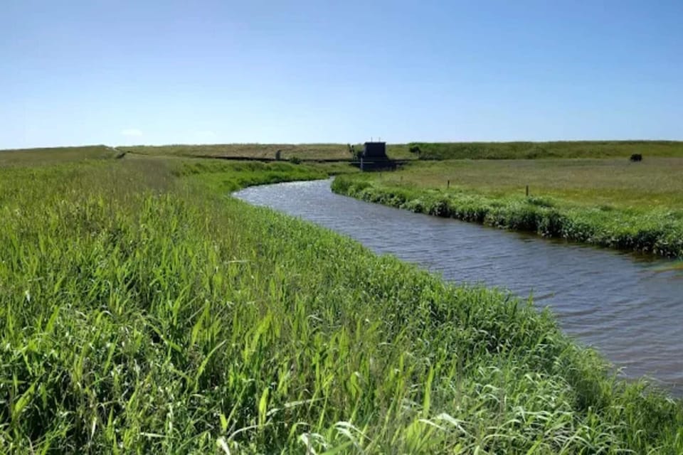 Water view