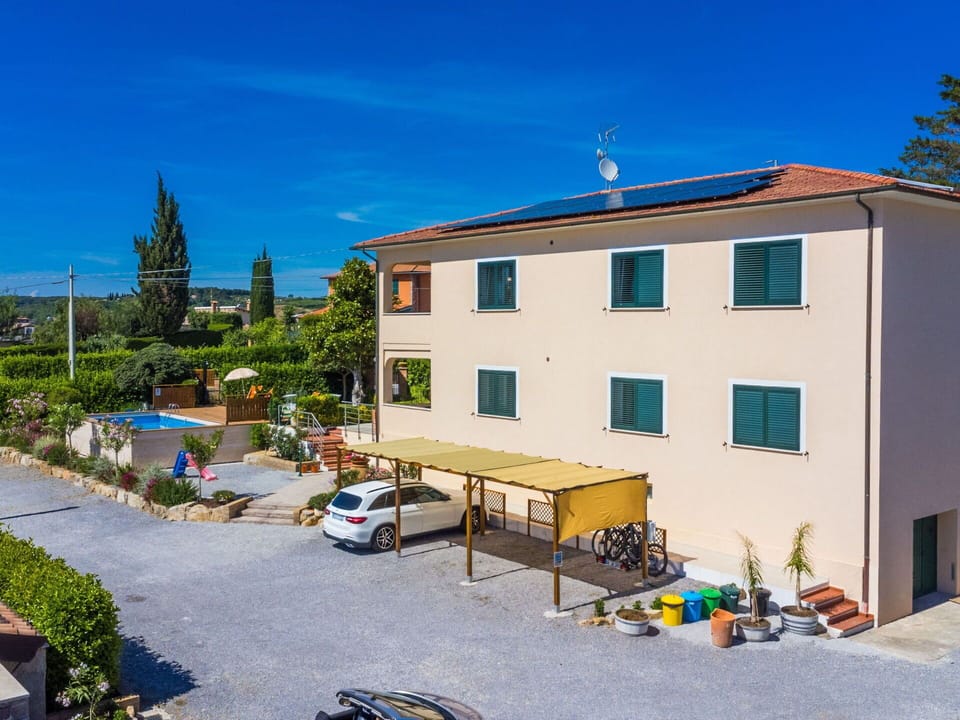 Apartment, Balcony, Houseplant