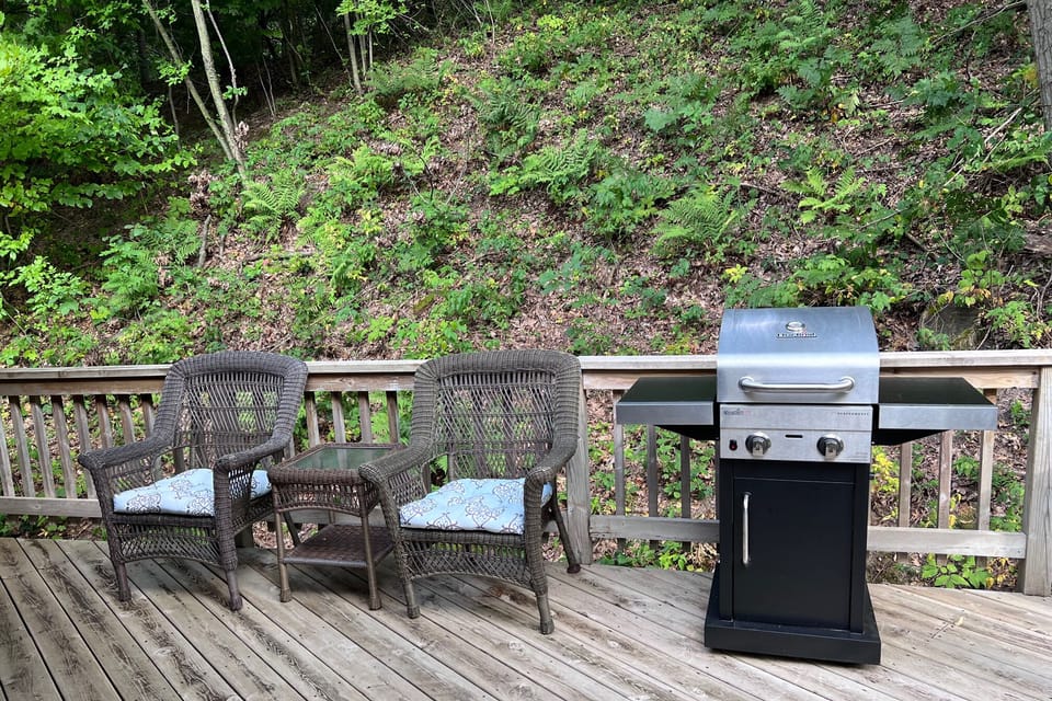 Back Deck