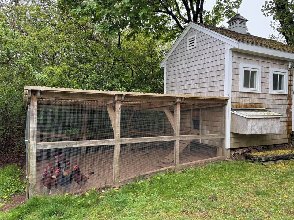 On Property coop with Fresh Eggs for Guests 