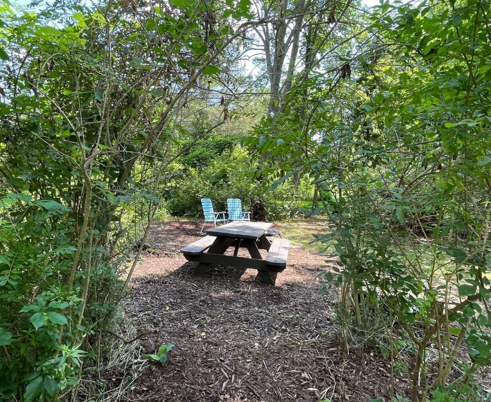 Your own picnic table and fire pit