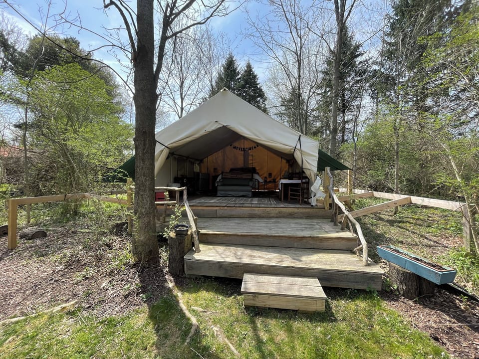 Deck, hammock, webbed chairs!