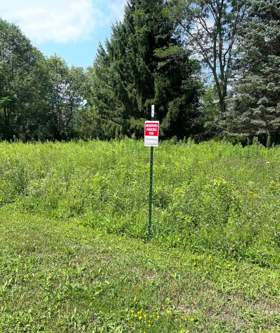 Dedicated parking in our lot