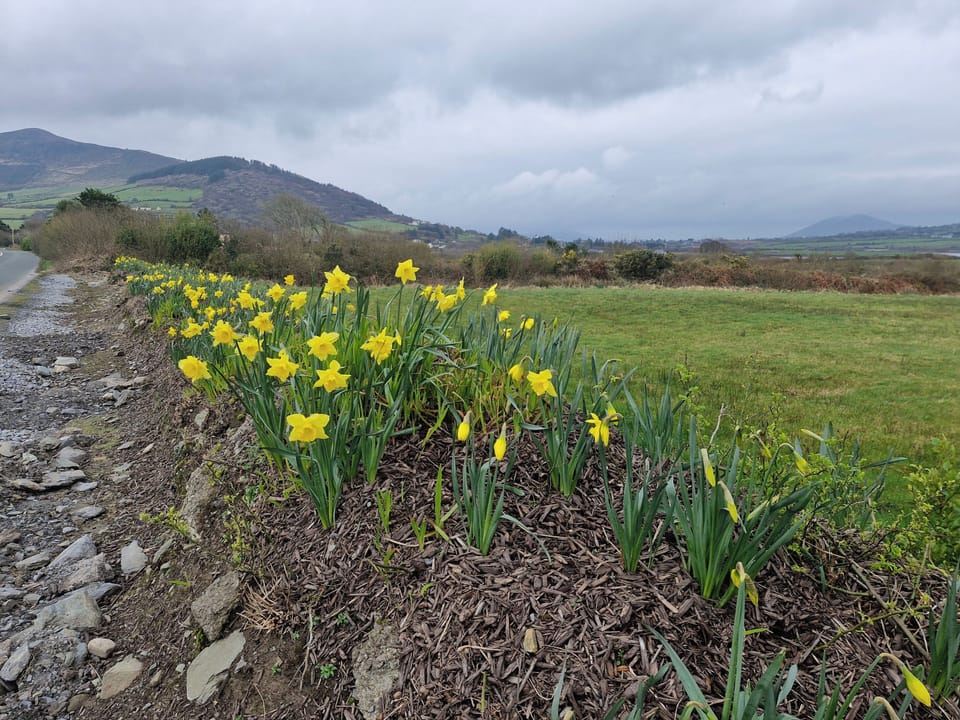 Image 16