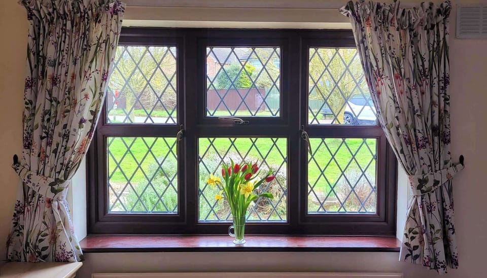 View from the living room 