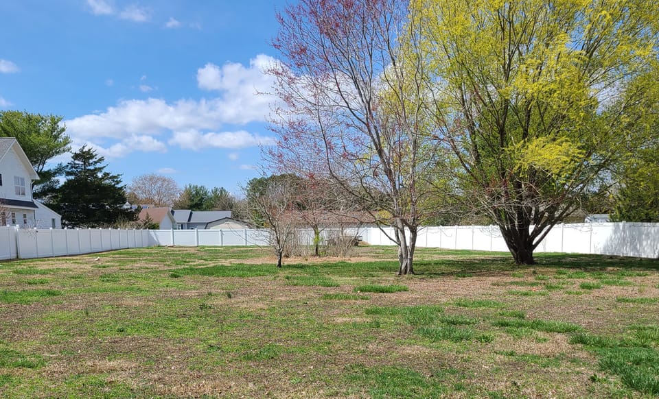 Yard