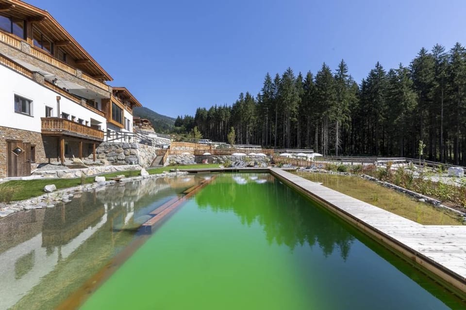 Holiday Home Swimming Pool