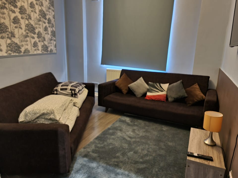 This photo represent the living room of the flat 