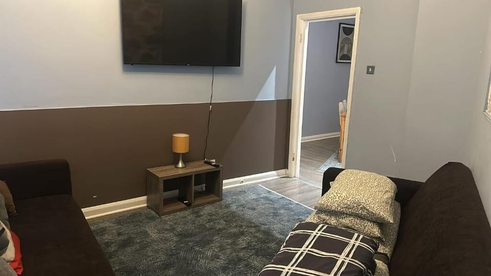 This photo represent the living room of the flat 