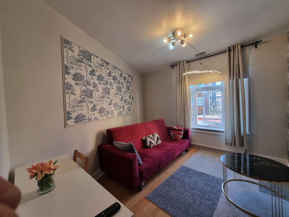 This photo represents the living room of the flat