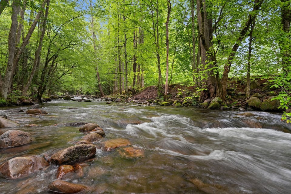 Nature, Outdoors, Stream, Water, Creek