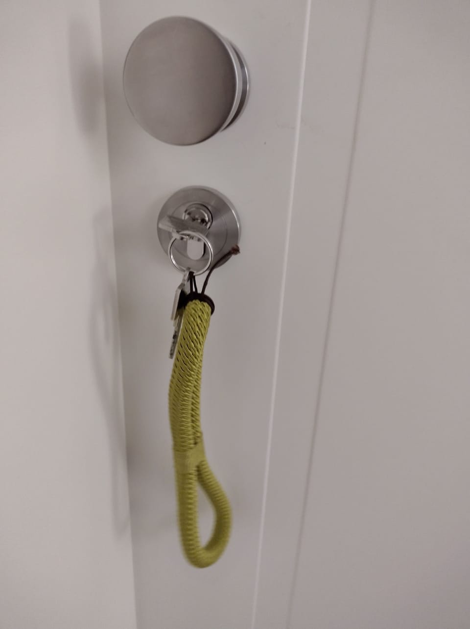 Hand-held showerhead
