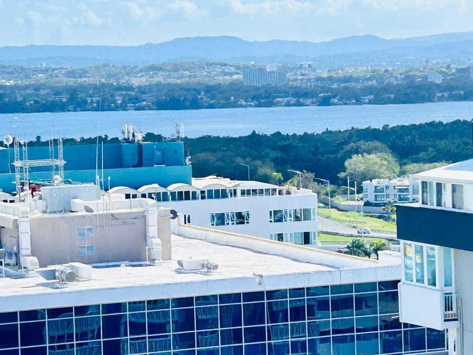 View of the bay